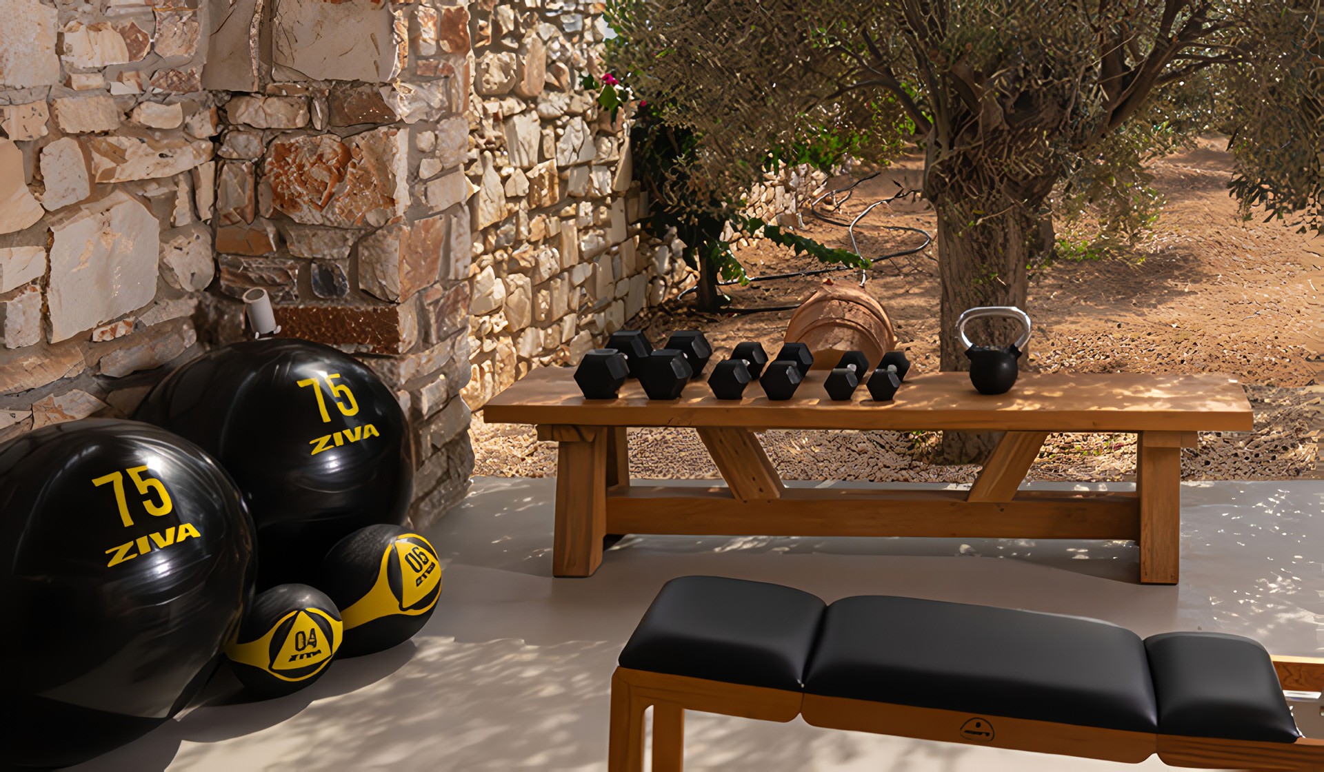 Wellness